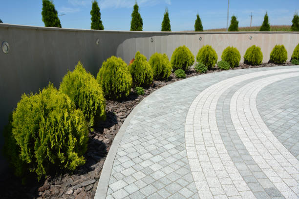 Best Professional Driveway Pavers  in Woodland, CA